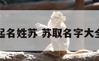 猪年宝宝起名姓苏 苏取名字大全男孩名字