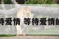 积极的等待爱情 等待爱情的经典语录