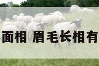 眉毛长得面相 眉毛长相有什么说法