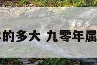 09年属羊的多大 九零年属羊的多大