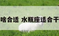 水瓶座做啥合适 水瓶座适合干什么工作