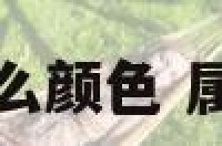 大属相都有什么颜色 属相有几种颜色