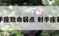 射手座致命弱点 射手座弱吗