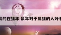 属鼠的在猪年 鼠年对于属猪的人好不好