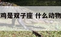 什么动物和鸡是双子座 什么动物和鸡是双子座的