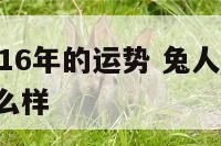 兔人在2016年的运势 兔人在2016年的运势怎么样