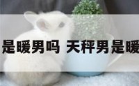 天秤座男生是暖男吗 天秤男是暖男还是渣男
