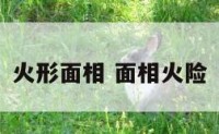 火形面相 面相火险