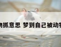 梦见被动物抓意思 梦到自己被动物抓流血了