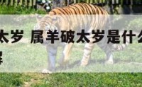 属羊破刑太岁 属羊破太岁是什么意思2021怎么破解