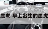 早上出生的属虎 早上出生的属虎人性格特点