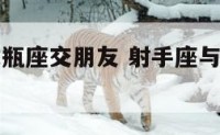 射手座与水瓶座交朋友 射手座与水瓶座交朋友好吗