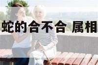 属猴子的和属蛇的合不合 属相猴子和蛇合不合