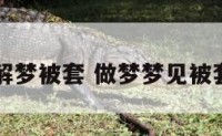 周公解梦被套 做梦梦见被套破了