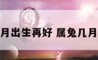 属兔几月出生再好 属兔几月出身好
