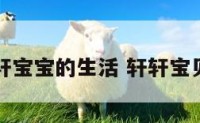 轩宝宝的生活 轩轩宝贝