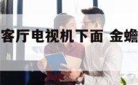 招财蟾蜍放客厅电视机下面 金蟾能放电视旁边吗