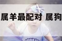 属狗的和什么属羊最配对 属狗羊和什么属相最配