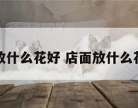 店面里放什么花好 店面放什么花有财运