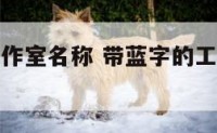带蓝字的工作室名称 带蓝字的工作室名称怎么取