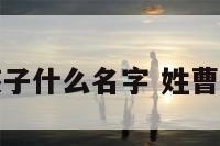 姓曹的男孩子什么名字 姓曹的男孩大全