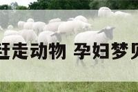 孕妇梦见赶走动物 孕妇梦见驱赶动物
