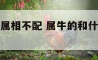 属牛和什么属相不配 属牛的和什么属相最不相配