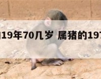 属猪的19年70几岁 属猪的1970今年多大