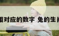 兔属相对应的数字 兔的生肖数字