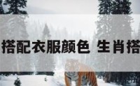 生肖搭配衣服颜色 生肖搭配图
