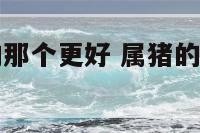 属猪和属狗的那个更好 属猪的和属狗的在一起合适吗