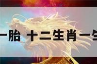 十二生肖生一胎 十二生肖一生有几个孩子