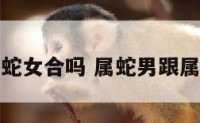 属蛇男跟属蛇女合吗 属蛇男跟属蛇女合适吗