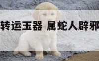 属蛇人辟邪转运玉器 属蛇人辟邪转运玉器图片