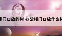 办公室门口放的树 办公楼门口放什么树景好