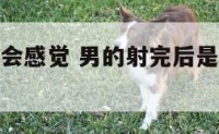男射后女也会感觉 男的射完后是什么心理状态