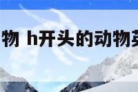 开头是h的动物 h开头的动物英文单词有哪些