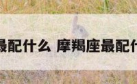 摩羯座最配什么 摩羯座最配什么星座