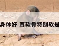 耳骨软身体好 耳软骨特别软是遗传吗