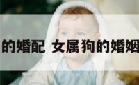 女生属狗的婚配 女属狗的婚姻配对最佳