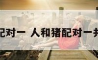 人和猪配对一 人和猪配对一共多少次