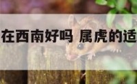 属虎的客厅在西南好吗 属虎的适合住西南方向吗