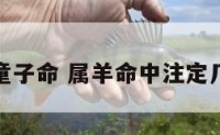 属羊的童子命 属羊命中注定几个子女