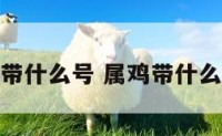 属鸡带什么号 属鸡带什么好运