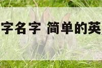 简单的英文数字名字 简单的英文数字名字大全