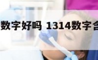 1314这数字好吗 1314数字含义是什么