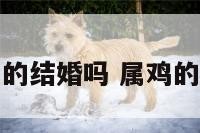属鸡能和属羊的结婚吗 属鸡的能配属羊的吗