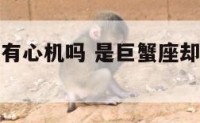 巨蟹狮子座有心机吗 是巨蟹座却有点狮子座性格