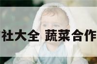 蔬菜合作社大全 蔬菜合作社赚钱吗