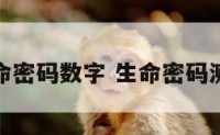 测生命密码数字 生命密码测试器
